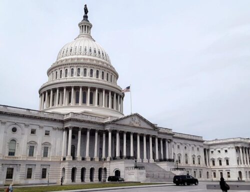 How environmental science informs environmental policy