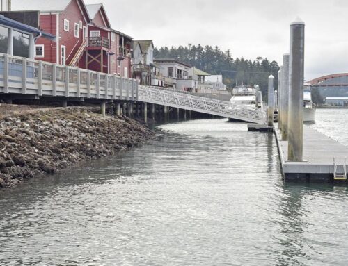 Skagit County considers forming climate advisory group