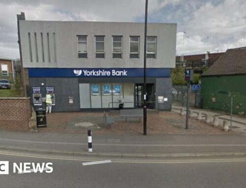 Cannabis farm found in former bank