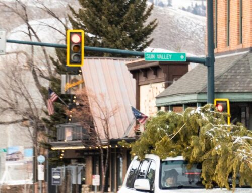 How to get a Christmas tree tag