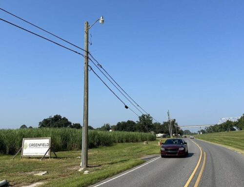 Louisiana Supreme Court rules in favor of company behind controversial grain project