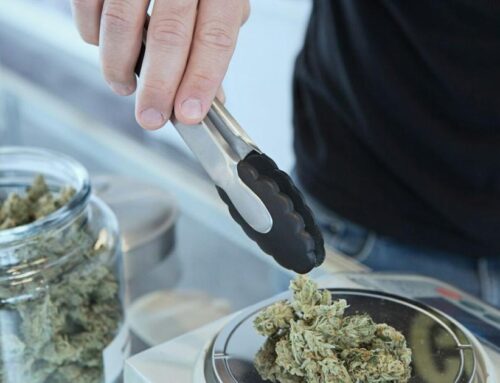 Social pot consumption vote could come by Christmas