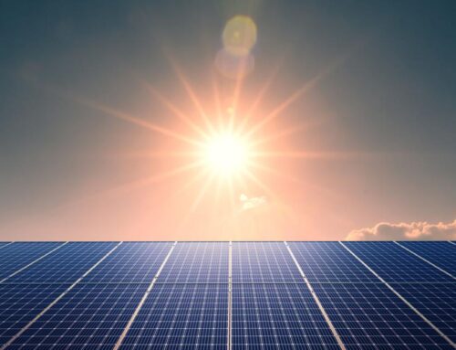 Meta to buy energy from Louisiana solar farm. 600 sheep will serve as lawnmowers.