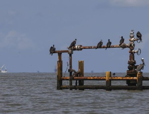 Uncontrolled gas leak along Louisiana coast prompts Coast Guard response