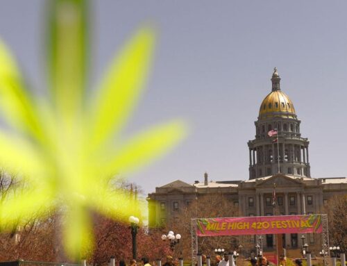 ‘Colorado sober’ movement ditches alcohol for cannabis, psychedelics. Is it for real?