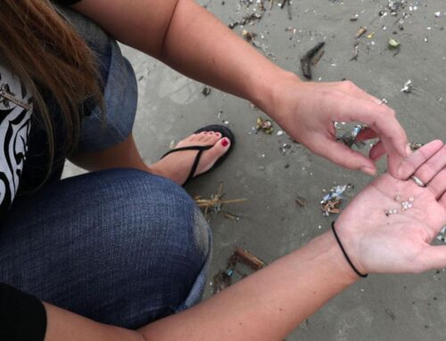 Nurdle counting a good way to help environment