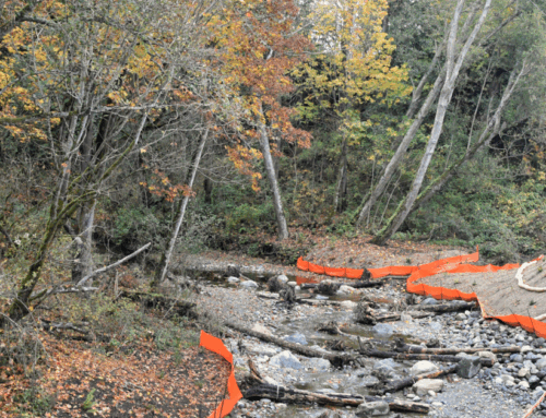 Skagit County celebrates completion of Fisher Creek fish passage project