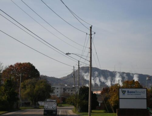 When smell and sanity are at odds