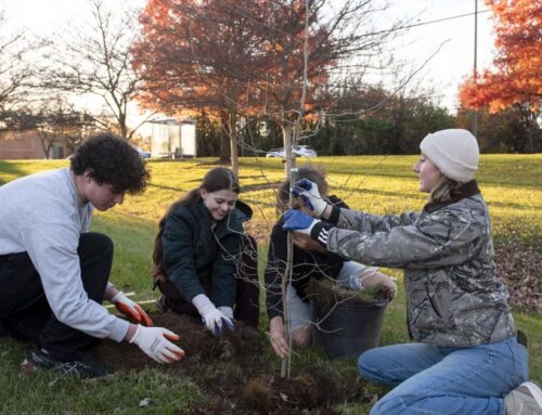 Program prioritizes increasing Frederick tree canopy, training youth