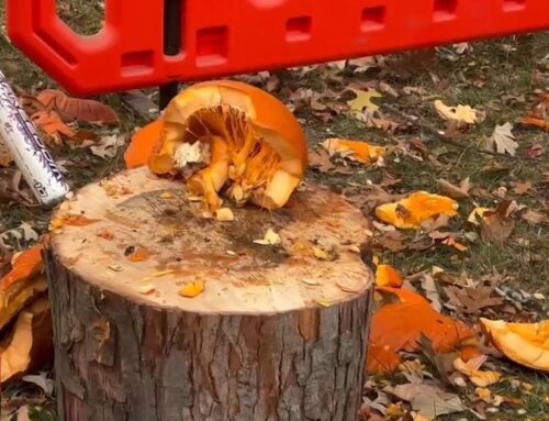 Saving the environment while blowing off steam: Urbana, Springfield host Pumpkin Smash eve