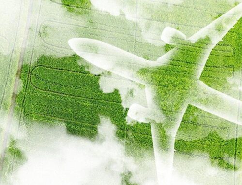 The new way to travel: Give back to the environment as you go