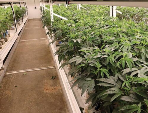 Horticulture Program Cited