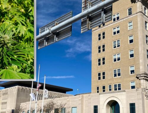 Community defends cannabis tax-funded program at risk in Rockford’s budget deficit