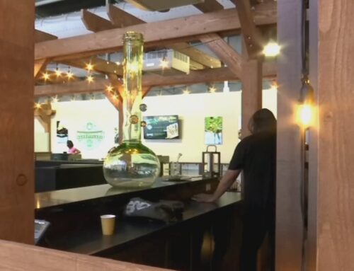 Obstacles to open: Nevada cannabis consumption lounges face hurdles despite legalization