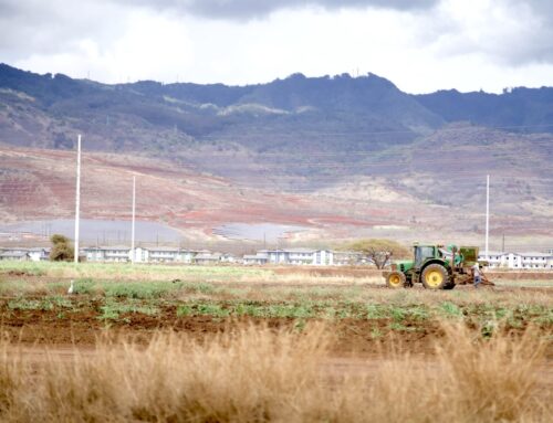 Hawai‘i Farmers Are Investing In Tech To Protect Property And Livestock