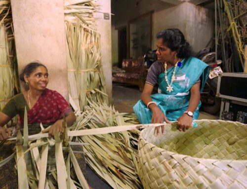 One woman’s mission to save Tamil Nadu’s palm trees