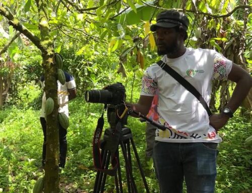 Environmental journalists drive change in Ghana