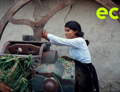 Going green with technology