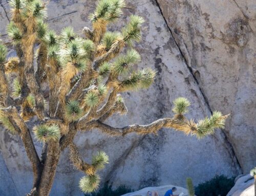 The government shutdown is over. The nightmare facing public lands under Trump may have ju