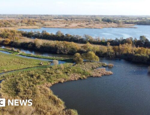 Prices revealed for developers environment credits