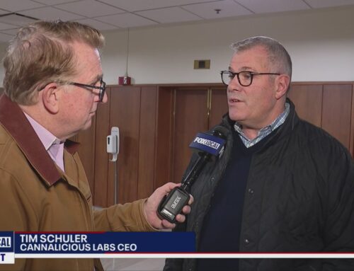 Cannabis advocates say 24% tax would cripple industry