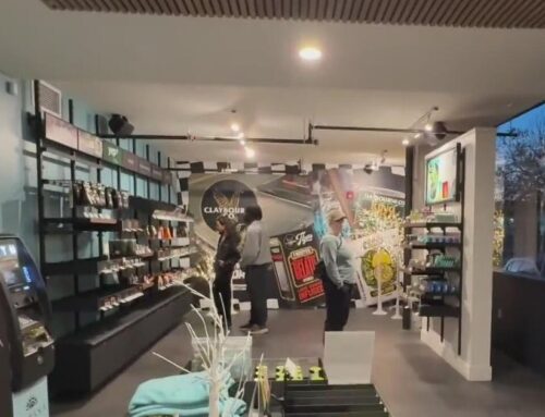 Bay Area cannabis shops get boost in business for Green Wednesday