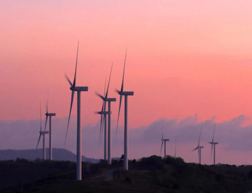 ST Explains: Why are renewables not easy to talk about at UN climate summits?