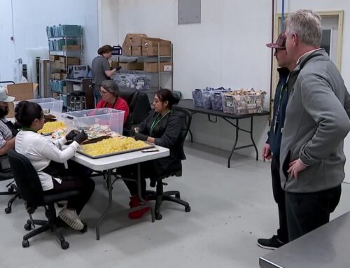 Inside Minnesota’s cannabis safety checks