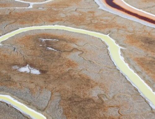 Arid States Prepare for EPA to Walk Away From Their Wetlands