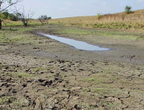 Trump administration to strip protections for wetlands and streams, leaving Illinois habit