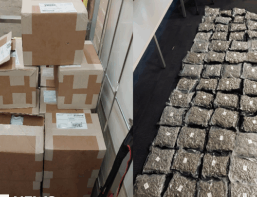 Cannabis parcels worth £315k seized by police