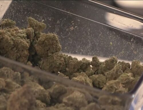 San Diego leaders propose new licensing rules for untaxed cannabis delivery businesses