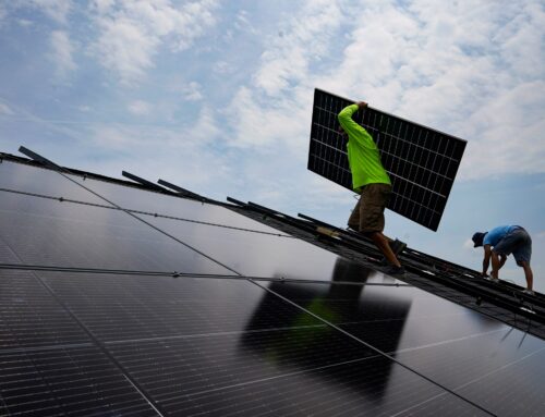 US families’ ‘mind blown’ with cuts to solar rooftop funds