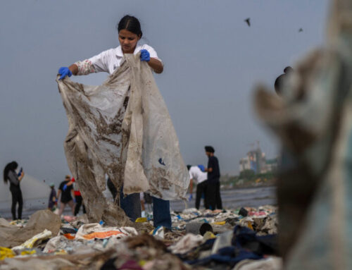 Early-career journalists join the next wave of environmental reporting (commentary)