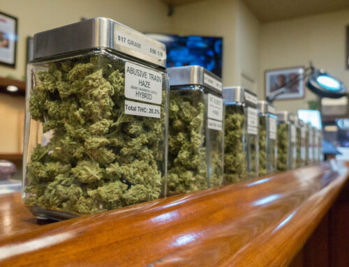 Green Wednesday sees DMV legal cannabis sales surge.