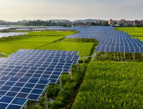 Tapping the Potential of Agriphotovoltaics in India