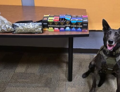 Belvidere police find cannabis, ammo after traffic stop