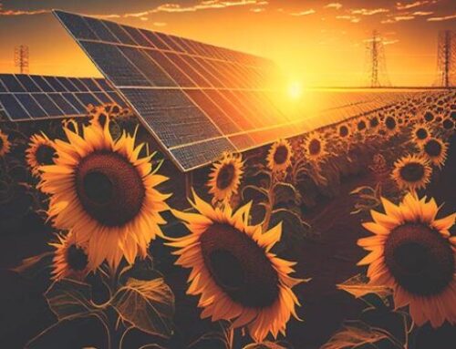 BE OPEN receives accreditation of the United Nations Environment Programme