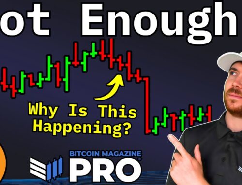 Bitcoin Price Slump Could Spark Next Bull Run