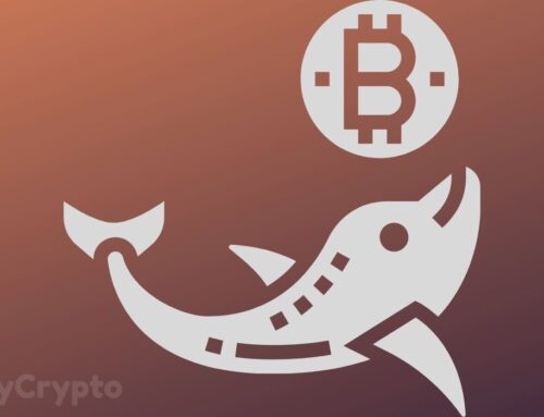 Bitcoin Scarcity Index On Binance Flips Green As Whales Enter Accumulation Mode