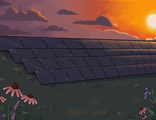 Michigan’s clean energy goals depend on rural partnership, not pressure