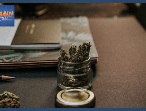 DOH updates interim rules for Medical Cannabis Dispensaries