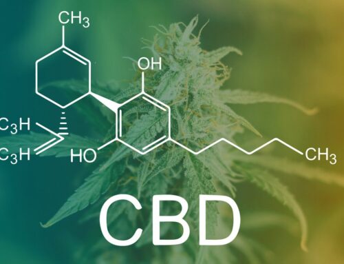 New study finds CBD worsens cannabis effects in schizophrenia