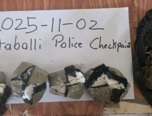 Businesswoman arrested after nabbed with cocaine, cannabis