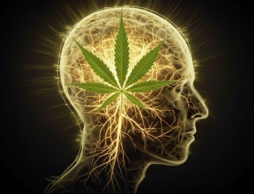 Using Both Tobacco and Cannabis Drains Key “Bliss Molecule” in the Brain