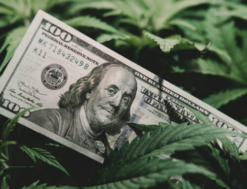 NJ launches $5M cannabis business development grant program