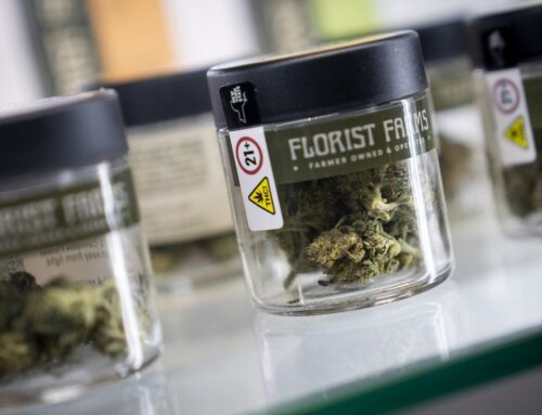 Unlicensed cannabis shops in Warren, Ulster counties shut down