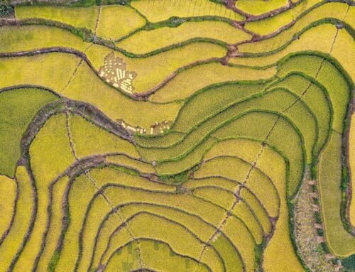 China issues guideline to boost renewable power consumption