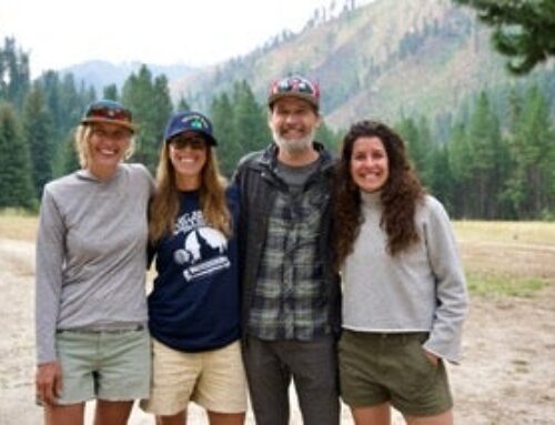 Lenhart assumes new environmental governance role