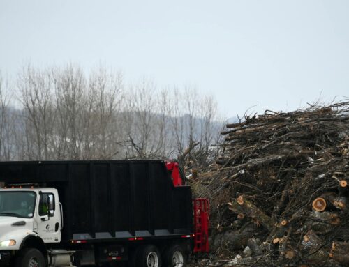 Compromise makes Minnesota a climate leader